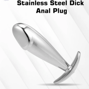 Stainless Steel Dick Anal Plug